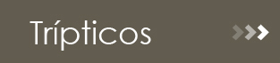 tripticos